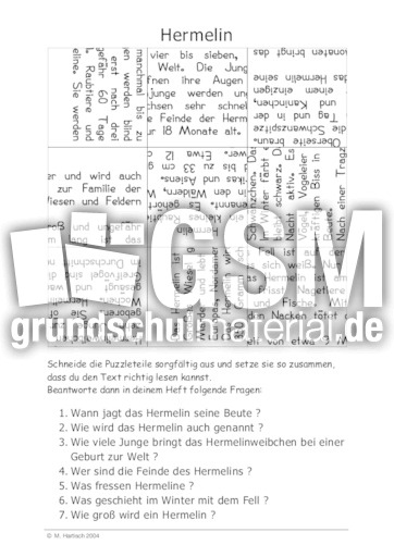 Hermelin.pdf